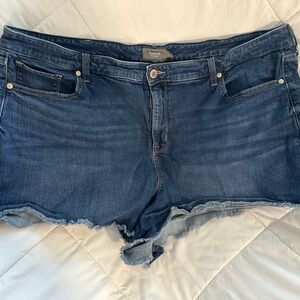 Torrid Blue Denim Jeans